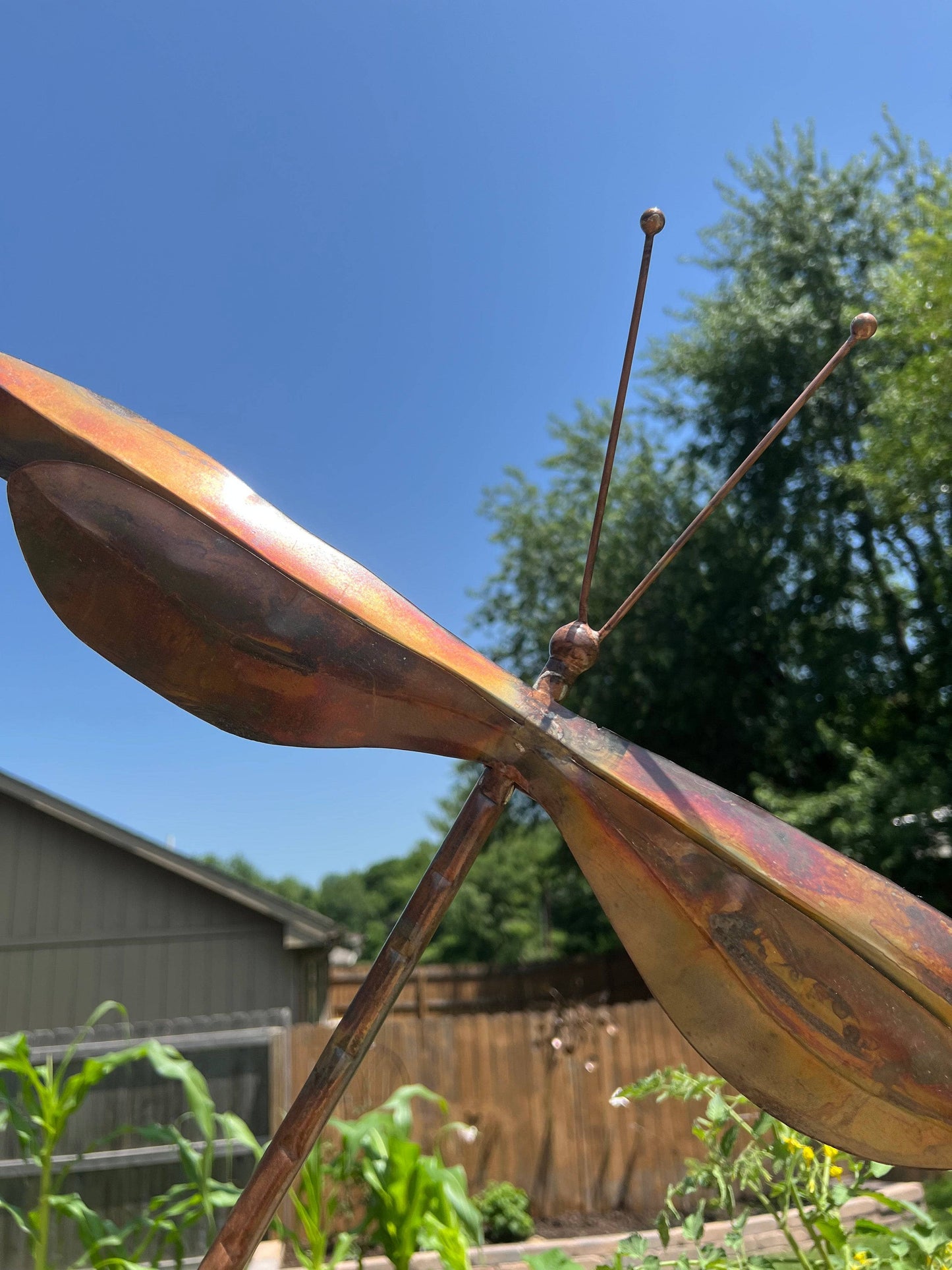 Happy Gardens - Hanging Dragonfly