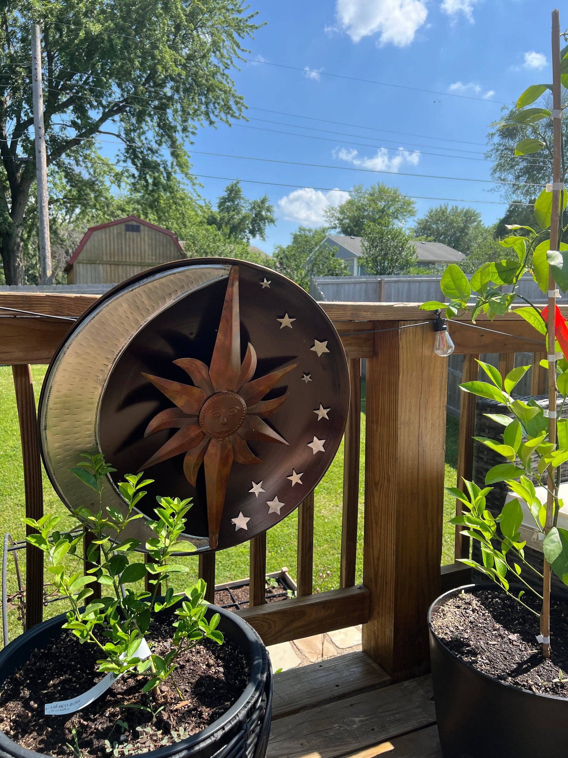 Happy Gardens - Raised Celestial Wall Decor Disc