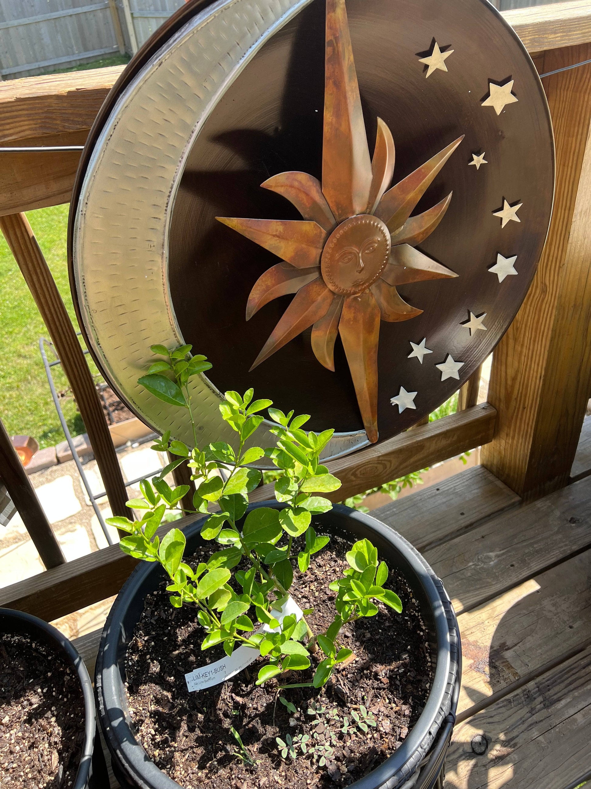 Happy Gardens - Raised Celestial Wall Decor Disc