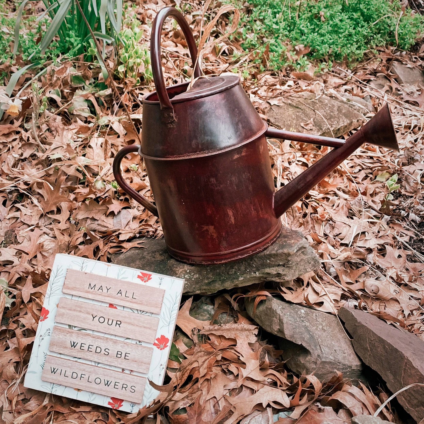 Antique Red Watering Can - Happy Gardens