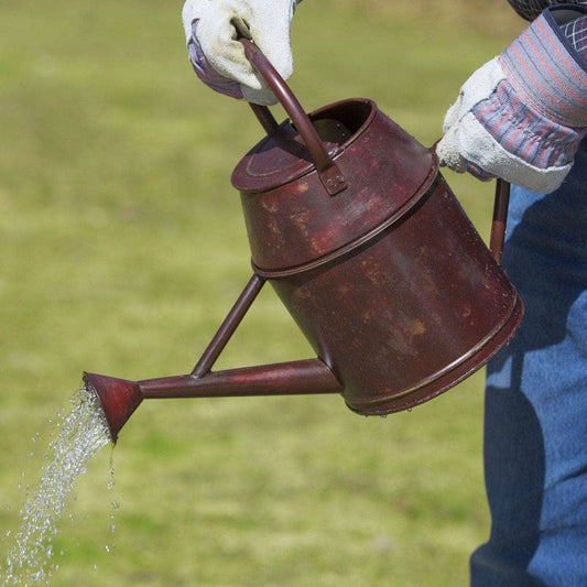 Antique Red Watering Can - Happy Gardens