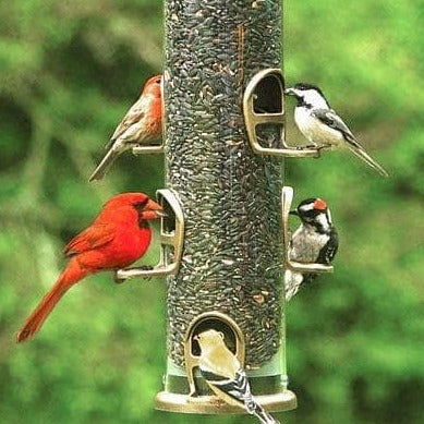 Big Tube Wild Bird Feeder - Happy Gardens