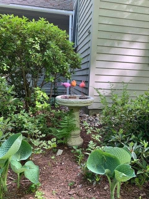Happy Gardens - Bird on River Stone