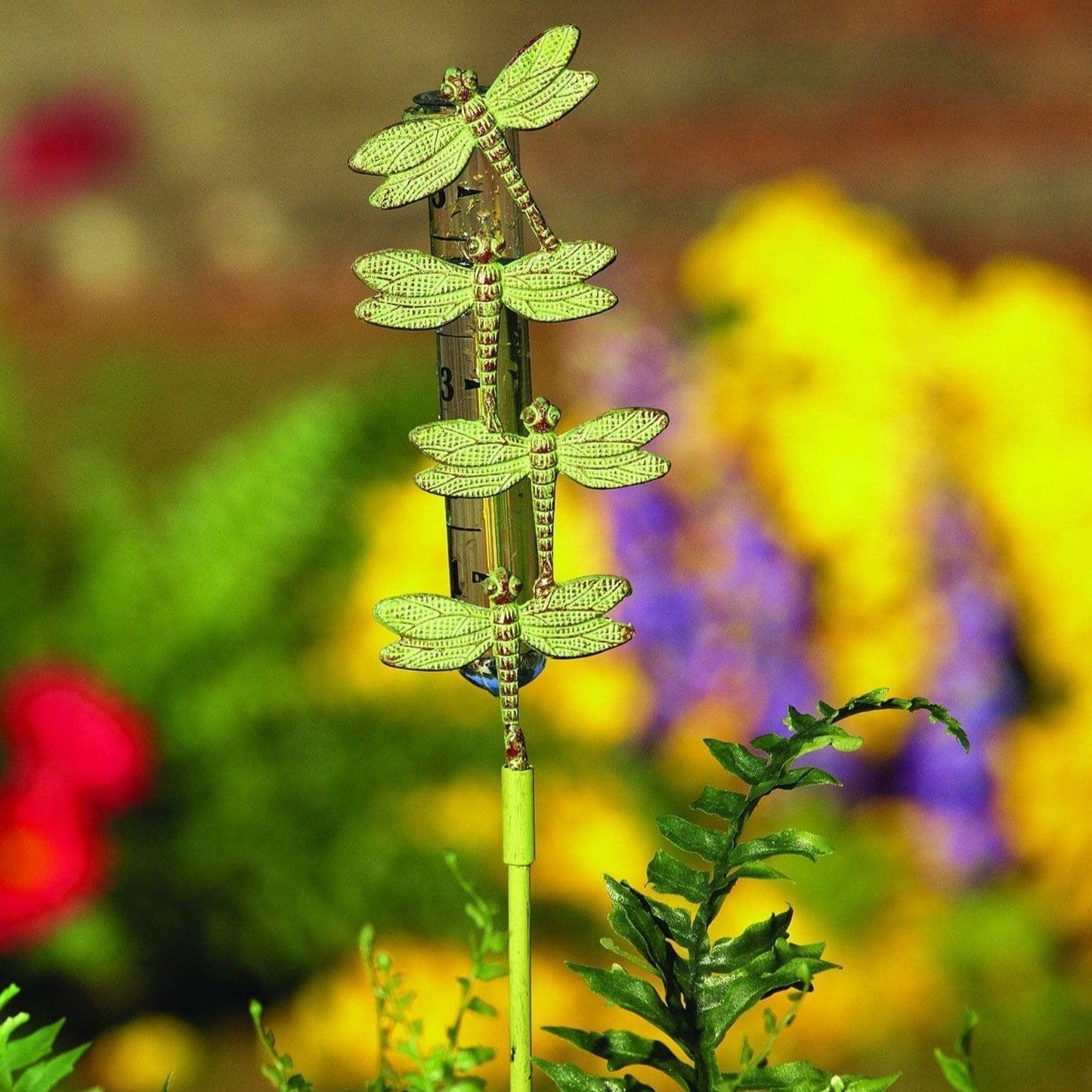 Happy Gardens - Cast Brass Dragonfly Rain Gauge