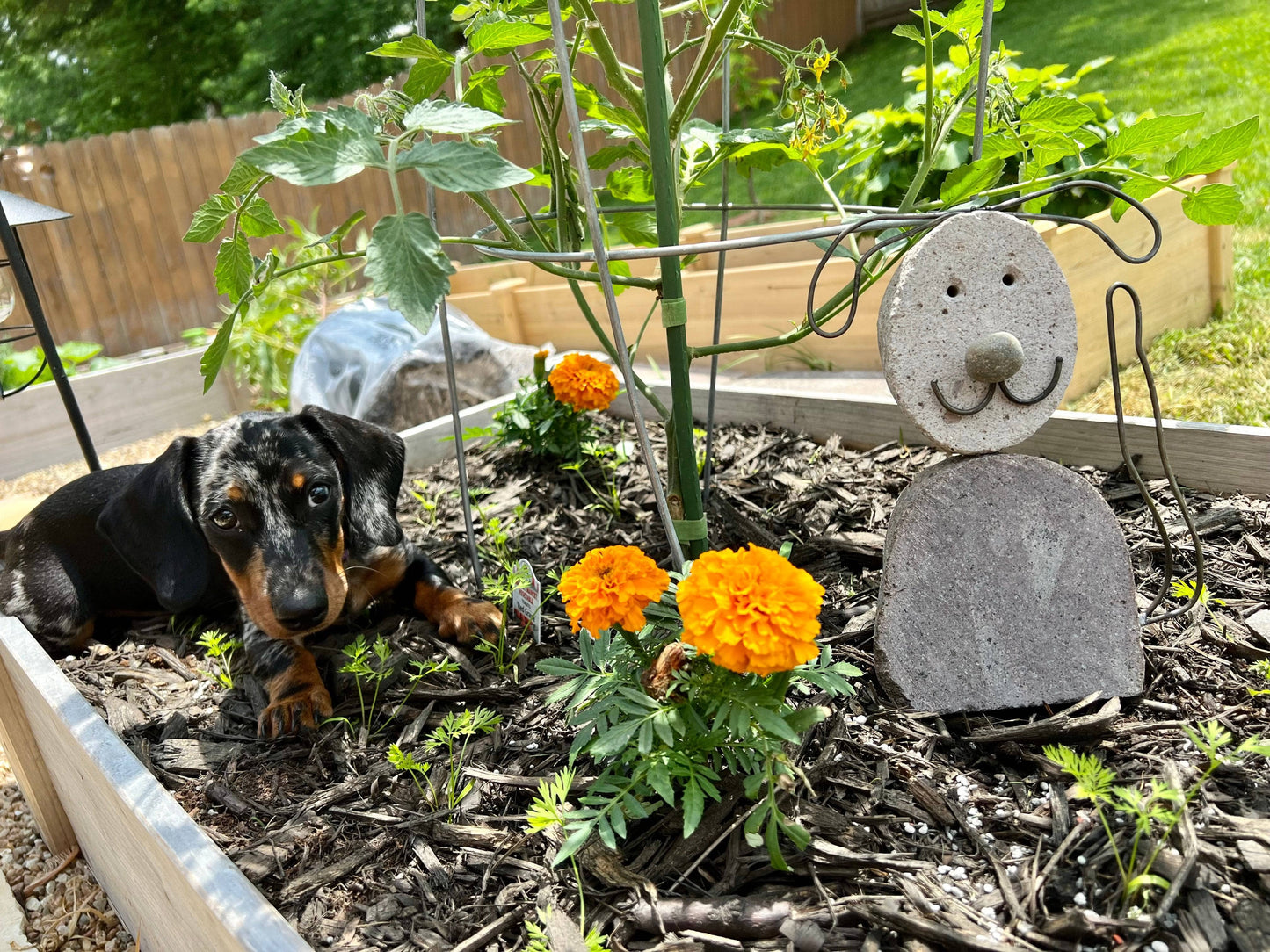 Happy Gardens - Dog River Stone Garden Statue