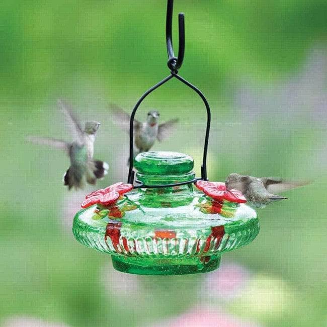 Green Bloom Hummingbird Feeder