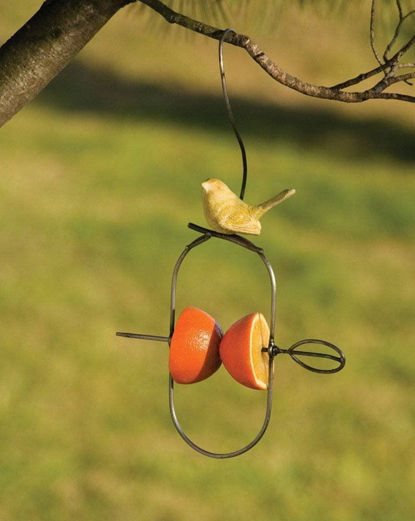 Happy Gardens - Hanging Bird Fruit Spear