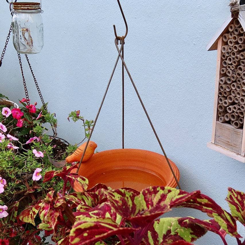 Happy Gardens - Hanging Spice Bird Bath