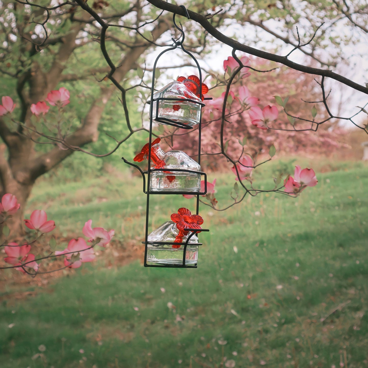 Lunch Pail Hummingbird Feeder - Happy Gardens