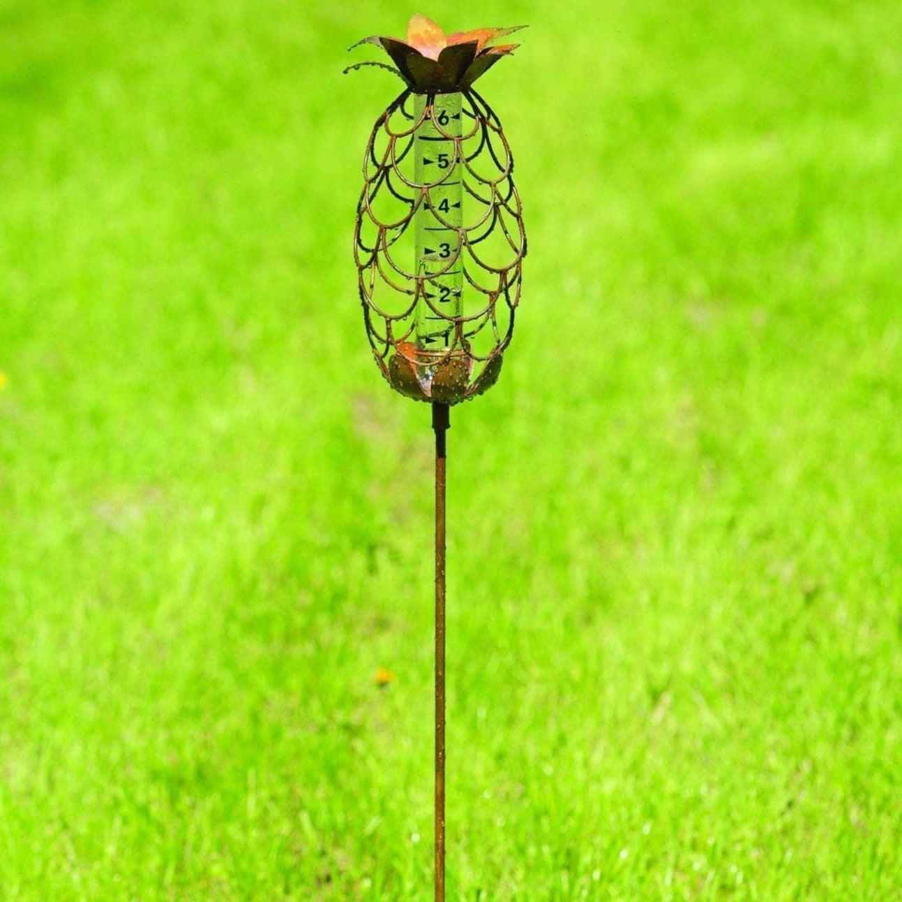 Happy Gardens - Pineapple Rain Gauge Stake