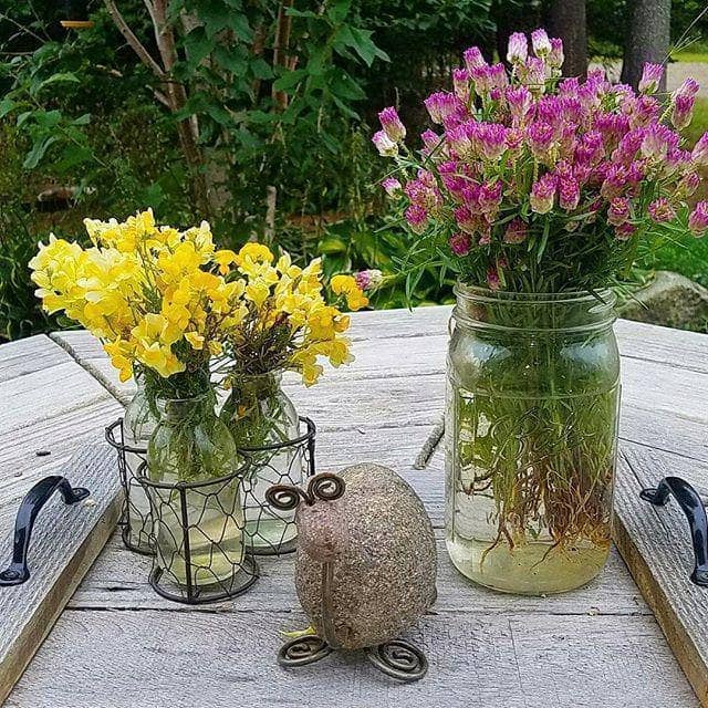 Happy Gardens - Tortoise Garden Statue