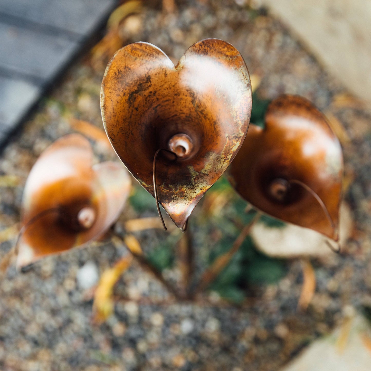 Happy Gardens - Triple Calla Lily Garden Stake
