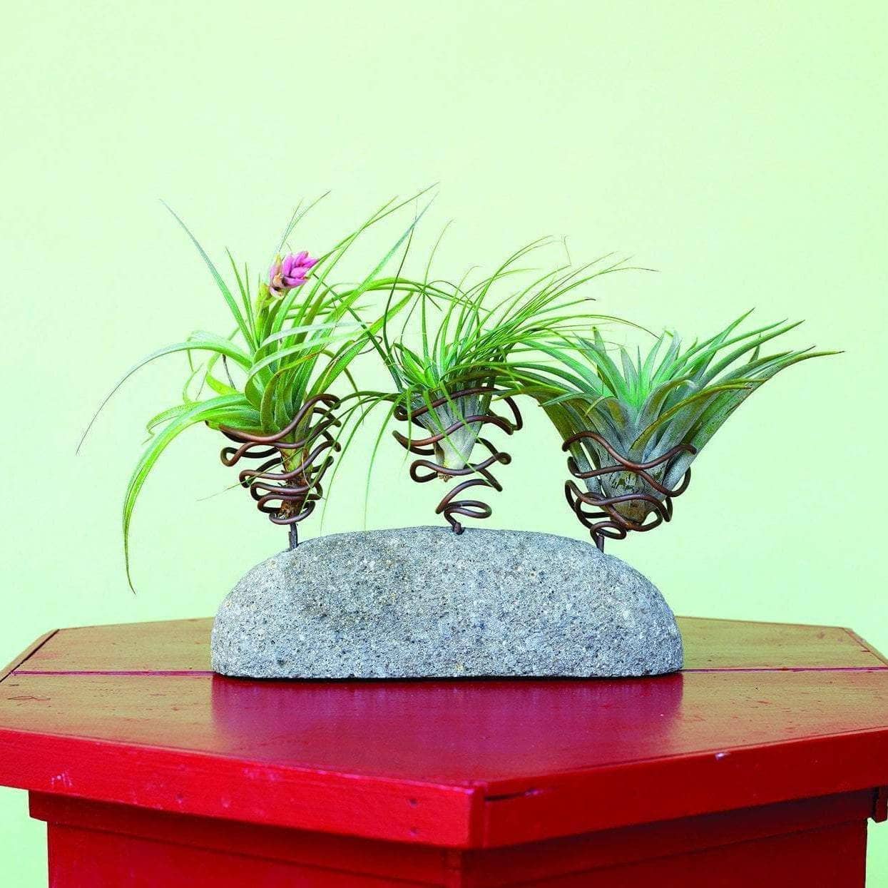 Happy Gardens - Triple on Stone Standing Pot Holder
