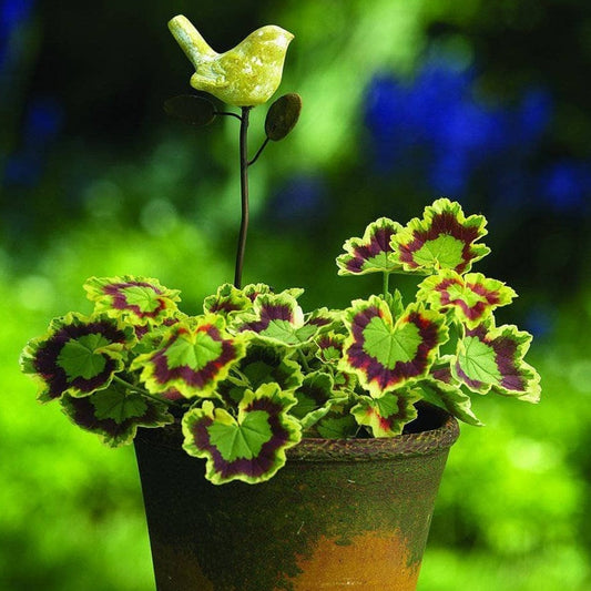 Happy Gardens - Yellow Bird Plant Pick