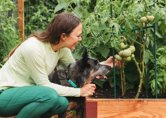5 Smart Garden Habits You Shouldn’t Be Skipping