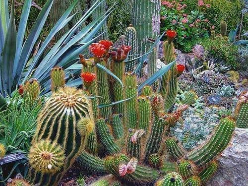 must see usa gardens