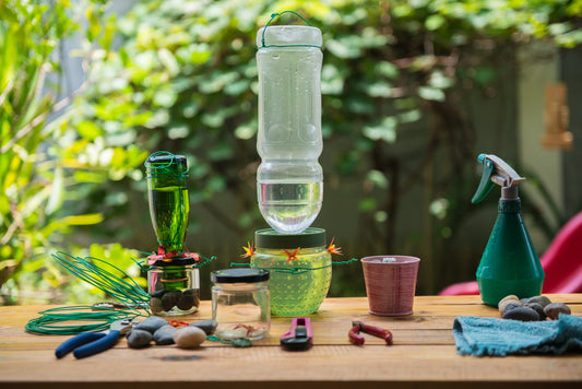 bird feeder ideas