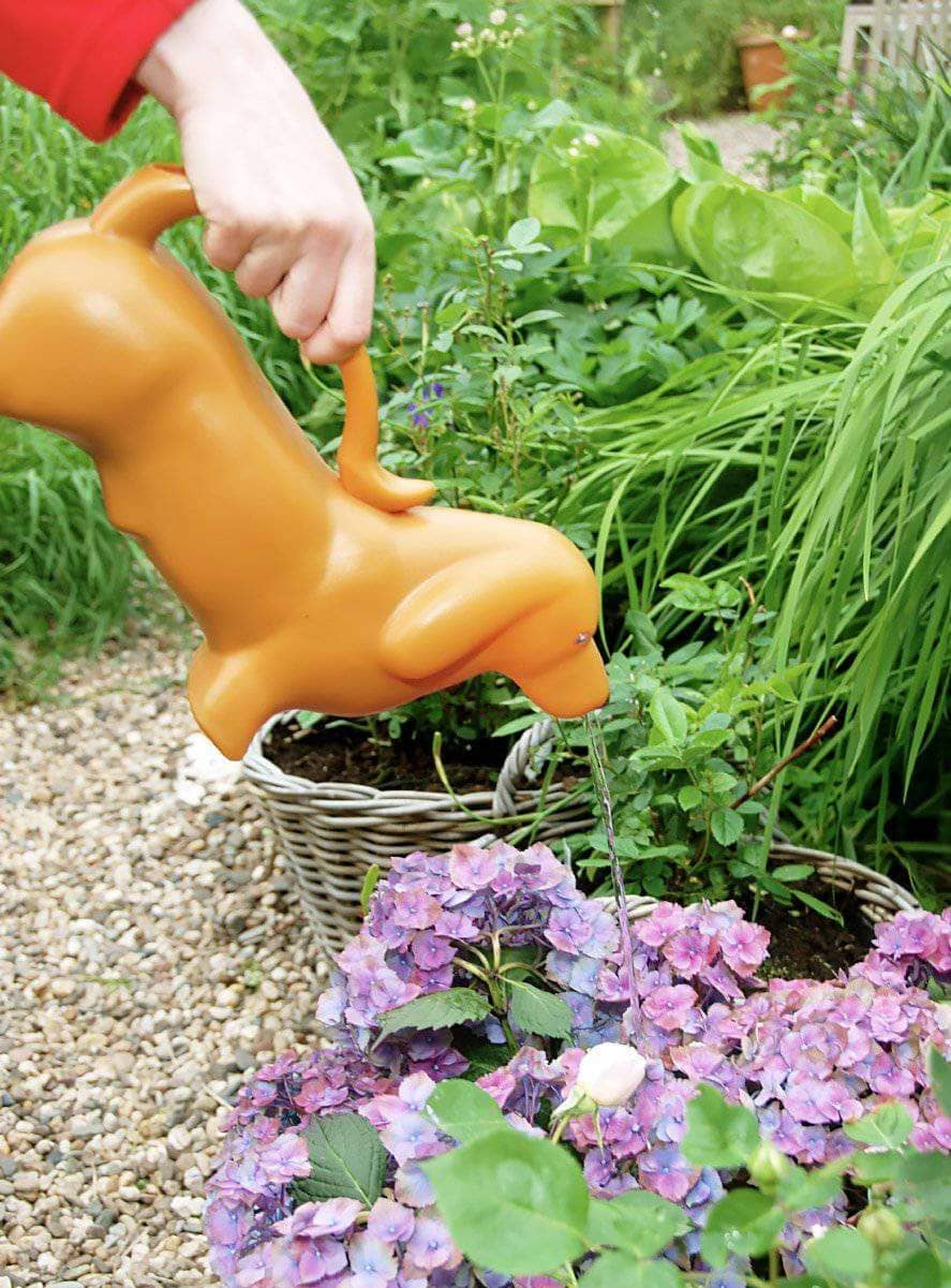 8 Wonderful, Unique Watering Cans