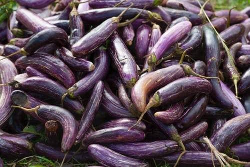 summer vegetables
