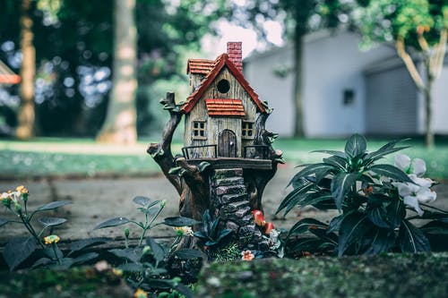 fairy garden ideas