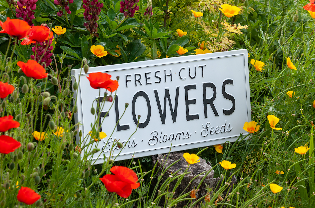 Ideas For Garden Sign Sayings & Quotes