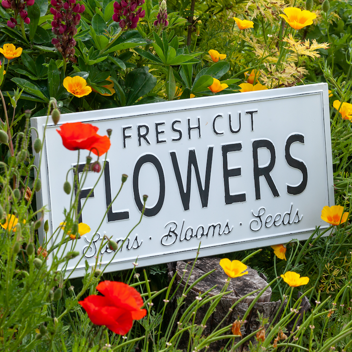 Ideas For Garden Sign Sayings & Quotes