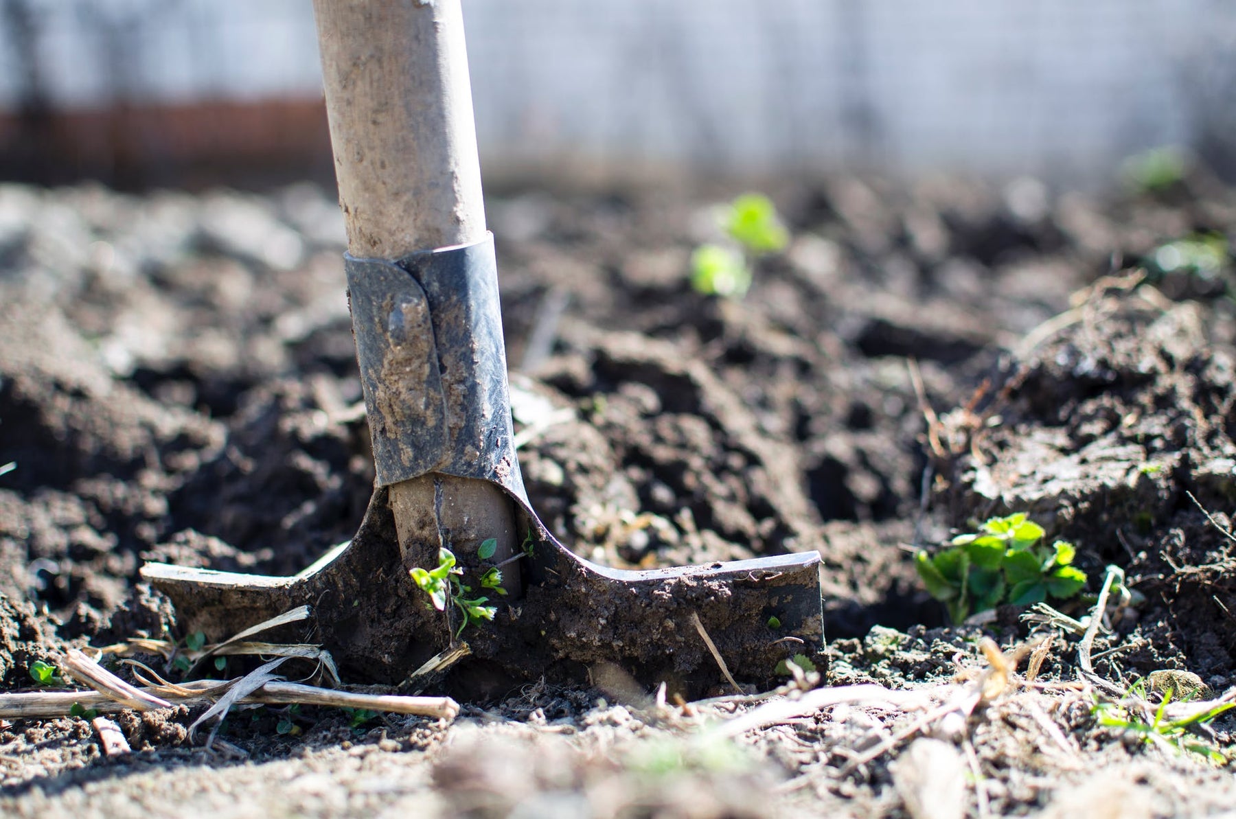 5 Ways to Get Your Garden Ready for Spring
