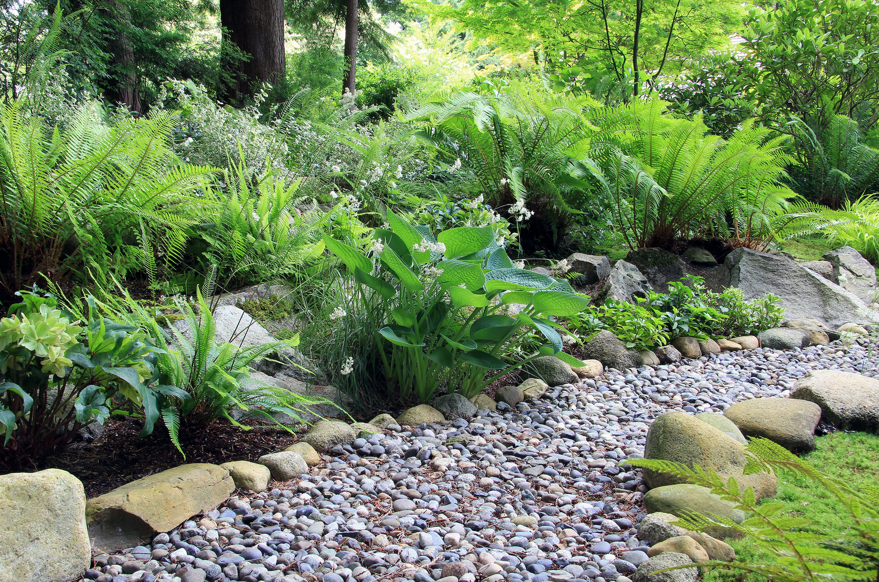 making a rock garden