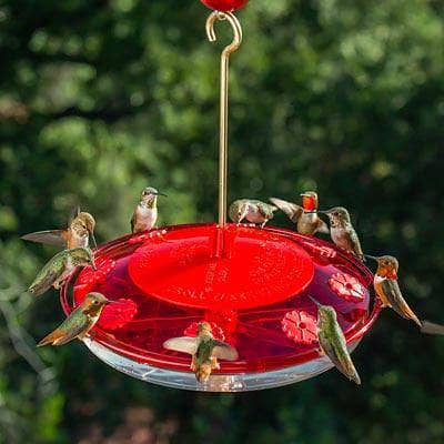 red hummingbird feeder