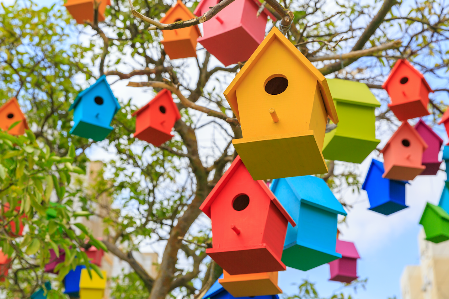 multi coloured bird houses