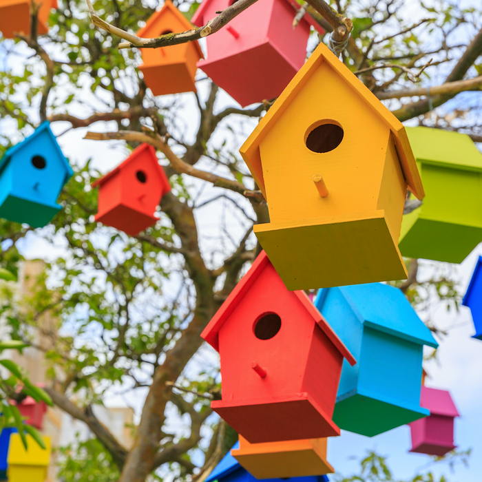 multi coloured bird houses