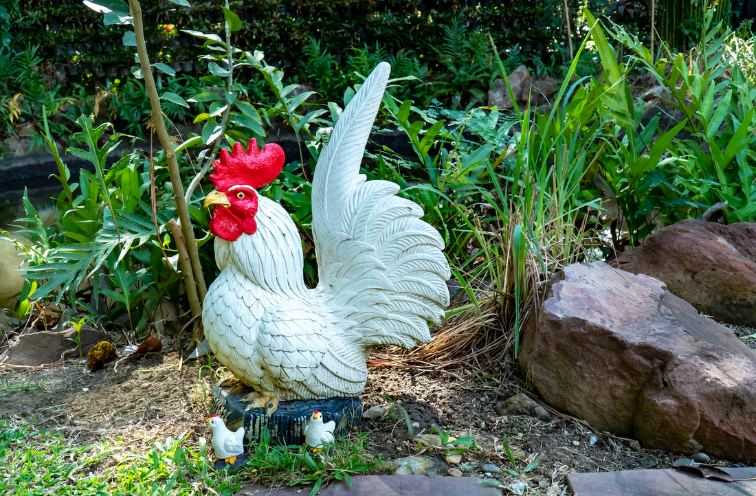 a chicken concrete garden statue