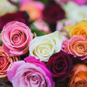 What Do Different Color Roses Mean?