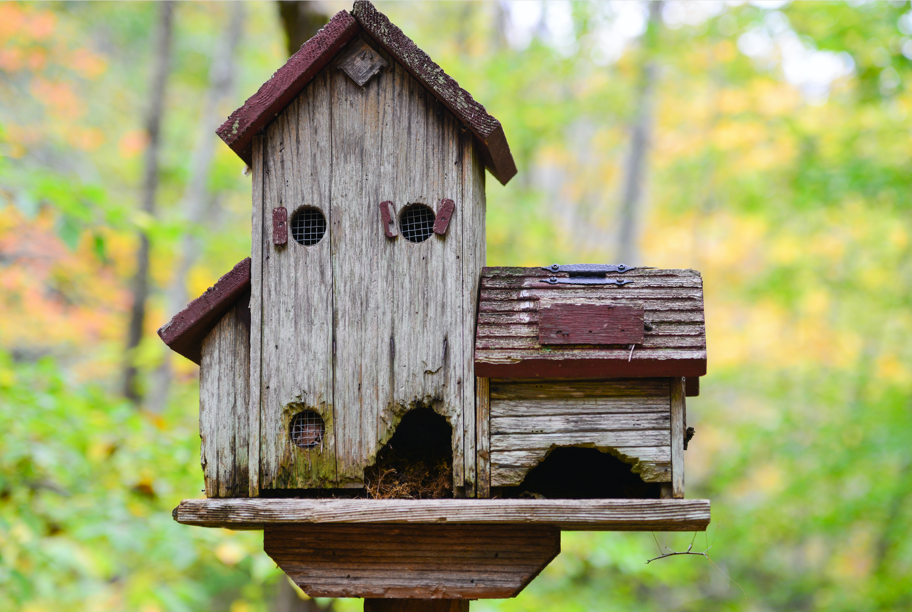 vintage and rustic birdhouse