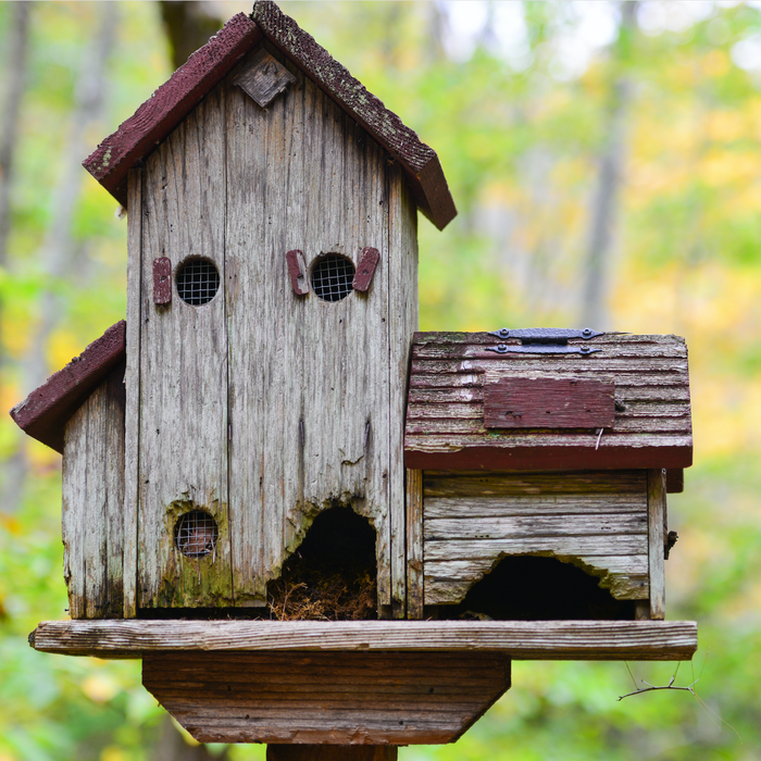 vintage and rustic birdhouse