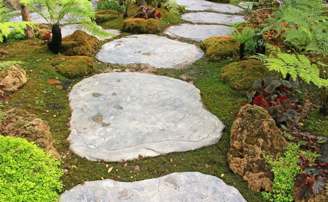 Waterleaf Stone Stepping Stones