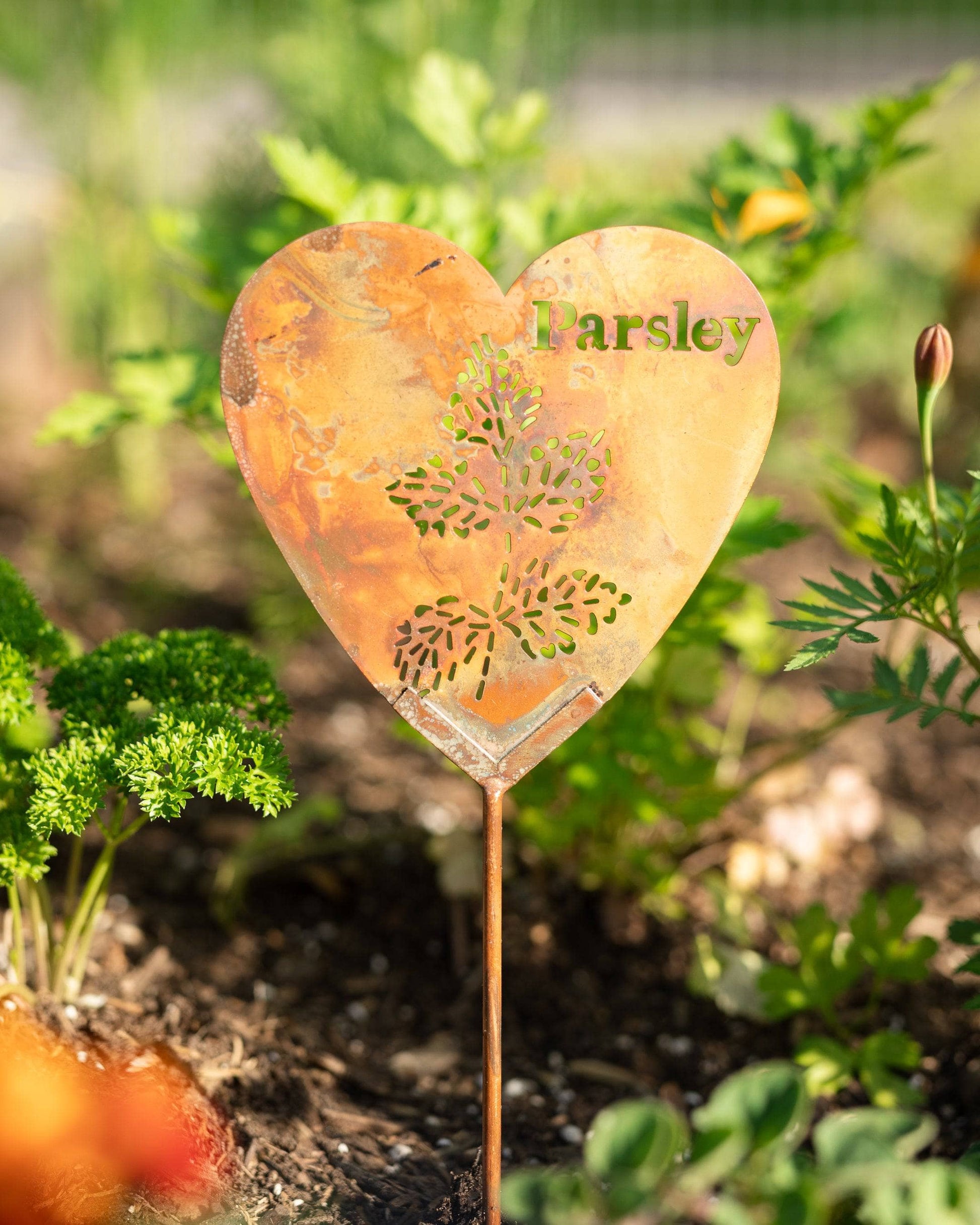 Happy Gardens - Parsley Herb Garden Stake