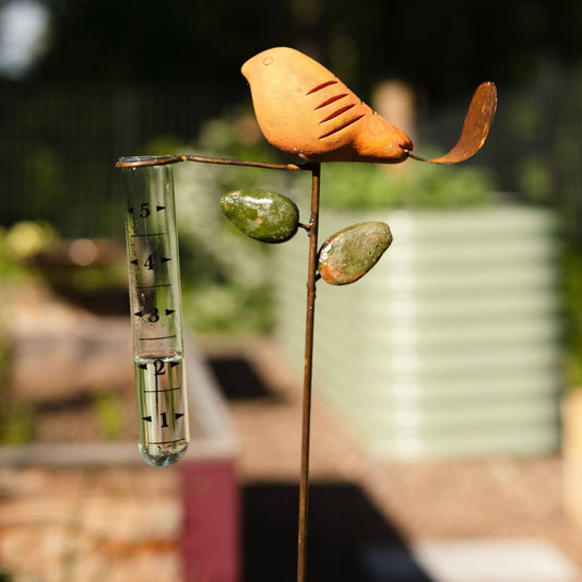 Happy Gardens - Spice Bird Rain Gauge