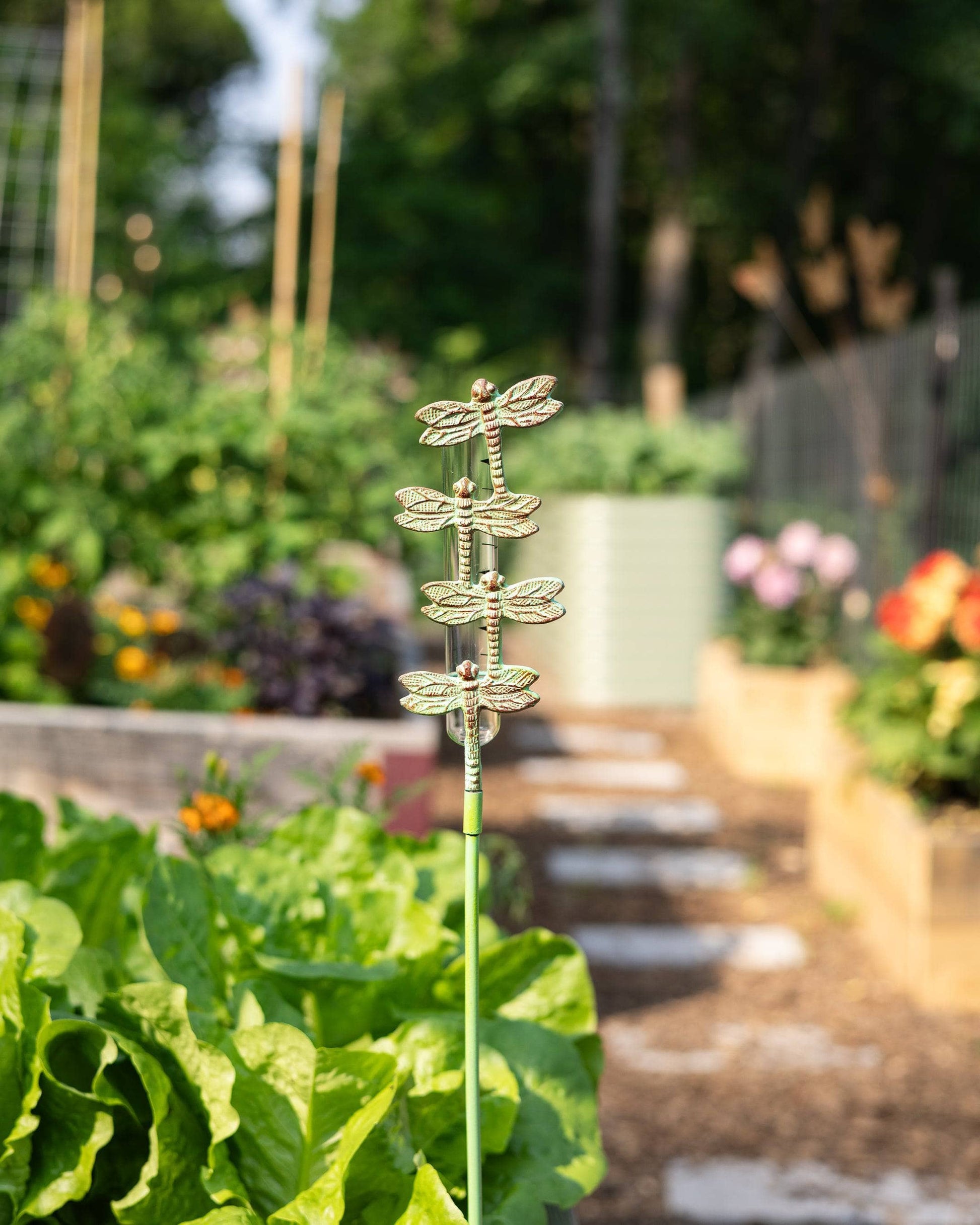 Happy Gardens - Cast Brass Dragonfly Rain Gauge