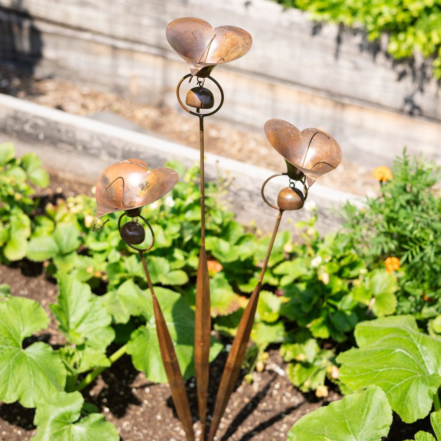 Three copper-toned metal calla lily flower garden stakes with bell accents planted in a garden bed