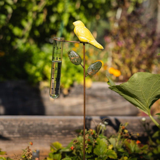 Happy Gardens - Yellow Bird Rain Gauge