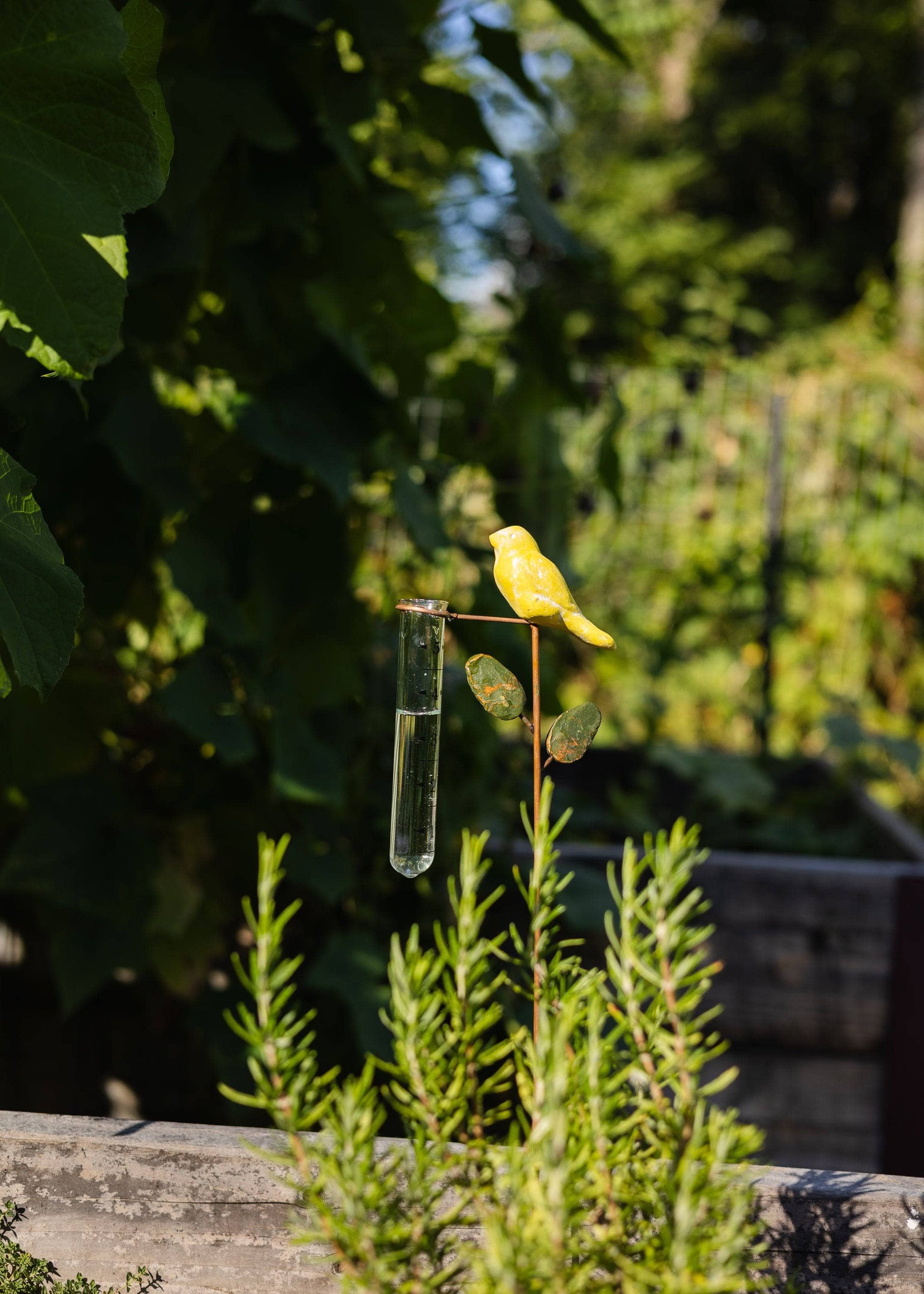 Happy Gardens - Yellow Bird Rain Gauge