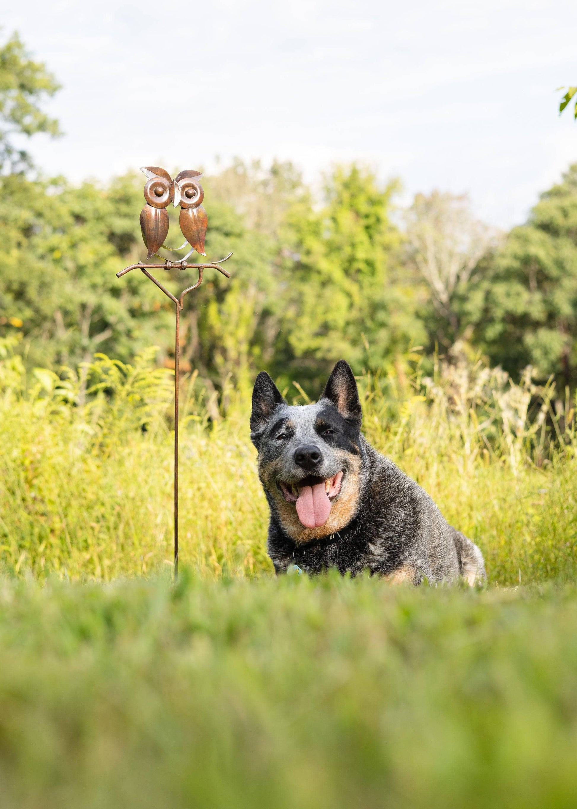 Wise Owl Stake - Happy Gardens