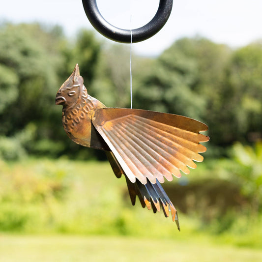 Hanging Flamed Cardinal - Happy Gardens
