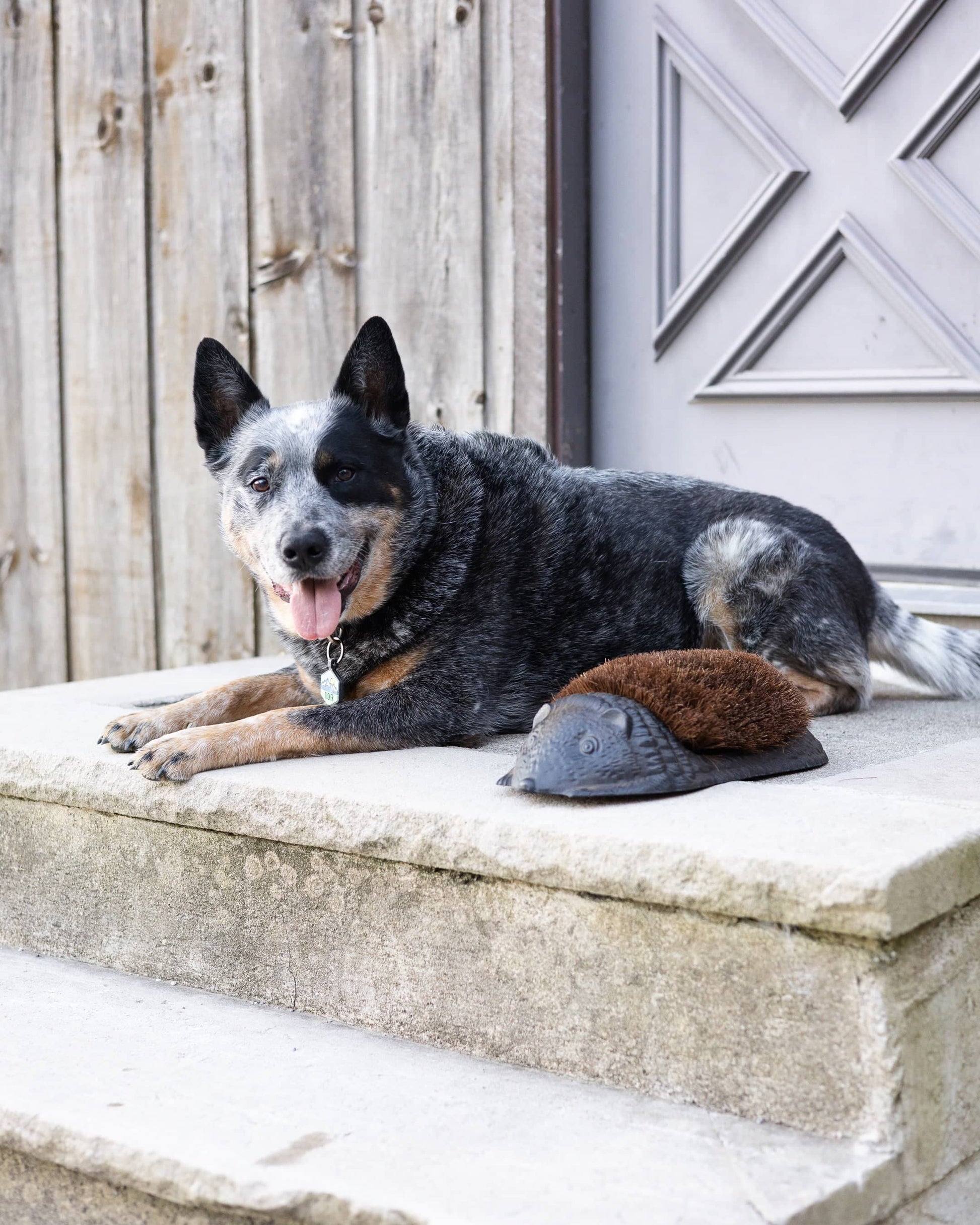 Giant Hedgehog Boot Brush - Happy Gardens