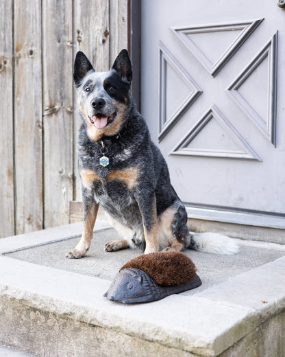 Giant Hedgehog Boot Brush - Happy Gardens