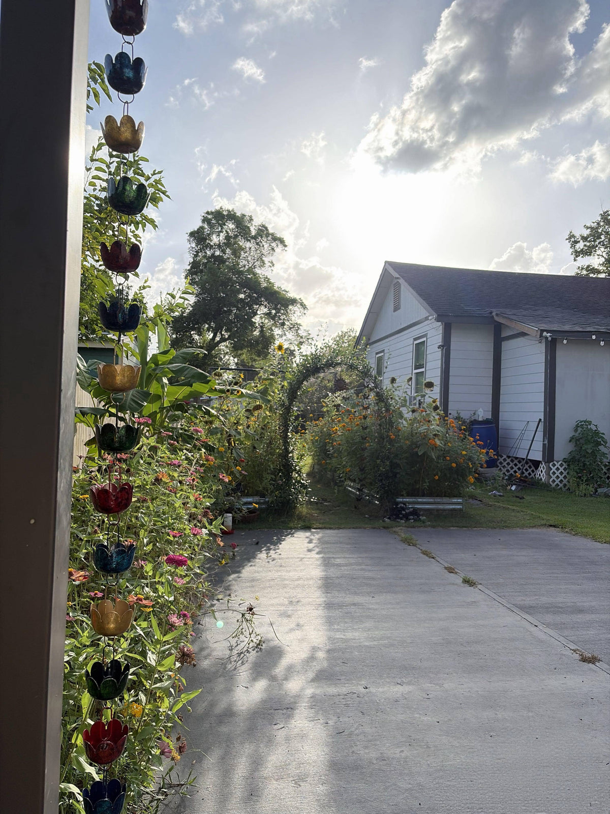 A concrete driveway leading into a landscaped backyard with a white house, garden arch, and hanging colorful flower decorations on the left side.