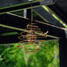 Happy Gardens - Bees (Double) Spiral Garden Ornament