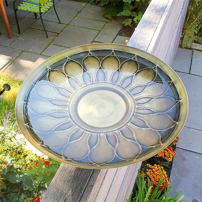 African Daisy Bird Bath with Over Rail Bracket - Happy Gardens