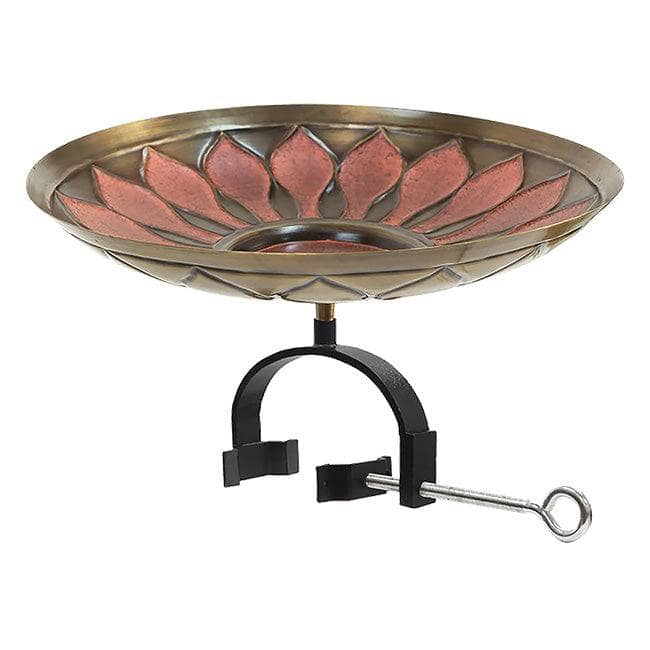 Red African Daisy Bird Bath - Happy Gardens